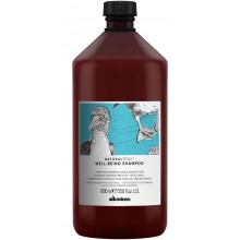 Davines Naturaltech Well-Being Shampoo - Увлажняющий шампунь для здоровья волос 1000мл