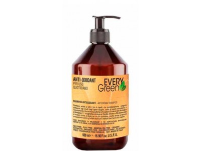Dikson EveryGreen Anti-Oxidant Shampoo - Шампунь антиоксидант 500мл