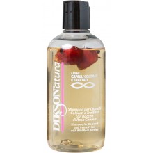 Diksonatura Shampoo with Rose Hips - Шампунь с ягодами красного шиповника для окрашенных и химически обработанных волос 250мл