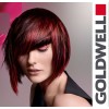 Goldwell - Натуральная профессиональная косметика для волос и кожи головы