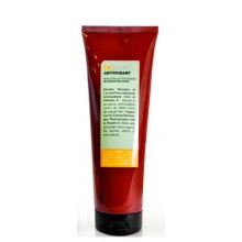 Insight Antioxidant Rejuvenating Mask - Маска антиоксидант для перегруженных волос 250мл