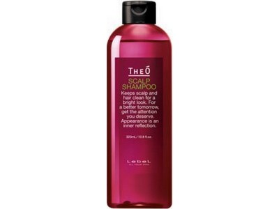 Lebel TheO Scalp Shampoo - Шампунь от выпадения волос для мужчин 320мл