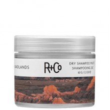 R+Co BADLANDS Dry Shampoo Paste - ПУСТОШЬ Сухой шампунь-паста для волос Очищающий Моделирующий 62гр