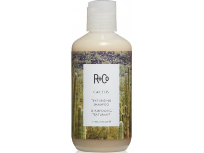 R+Co CACTUS Texturizing Shampoo - КАКТУС Шампунь для волос Текстурирующий 177мл