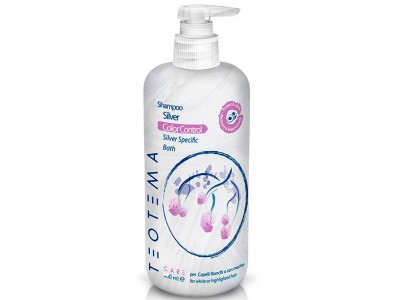 Teotema For Grey Hair Silver Shampoo - Шампунь для седых и обесцвеченных волос 250мл