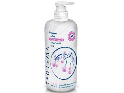 Teotema For Grey Hair Silver Shampoo - Шампунь для седых и обесцвеченных волос 500мл