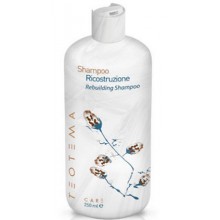 Teotema Rebuilding Shampoo - Шампунь восстанавливающий 250мл