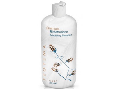 Teotema Rebuilding Shampoo - Шампунь восстанавливающий 250мл