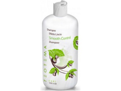 Teotema Smooth Control Shampoo - Шампунь разглаживающий 1000мл