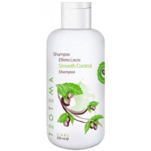 Teotema Smooth Control Shampoo - Шампунь разглаживающий 250мл
