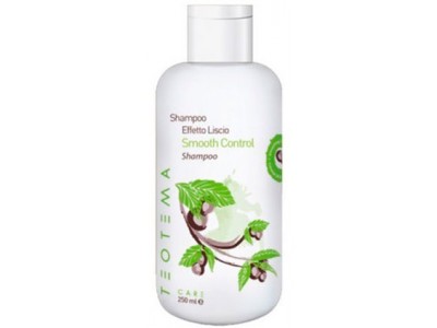 Teotema Smooth Control Shampoo - Шампунь разглаживающий 250мл